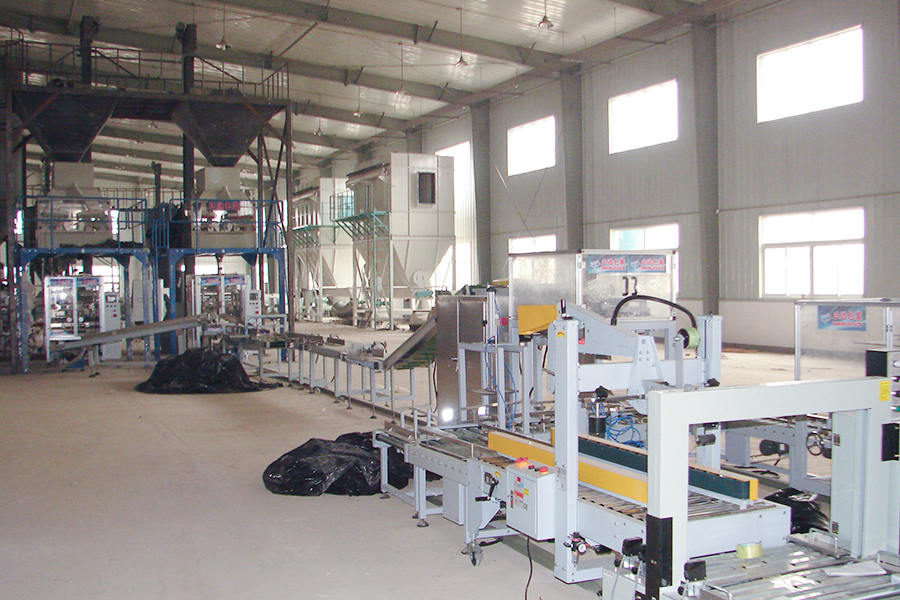Situs Pemrosesan Bibit Industri Benih China (jalur pengepakan)