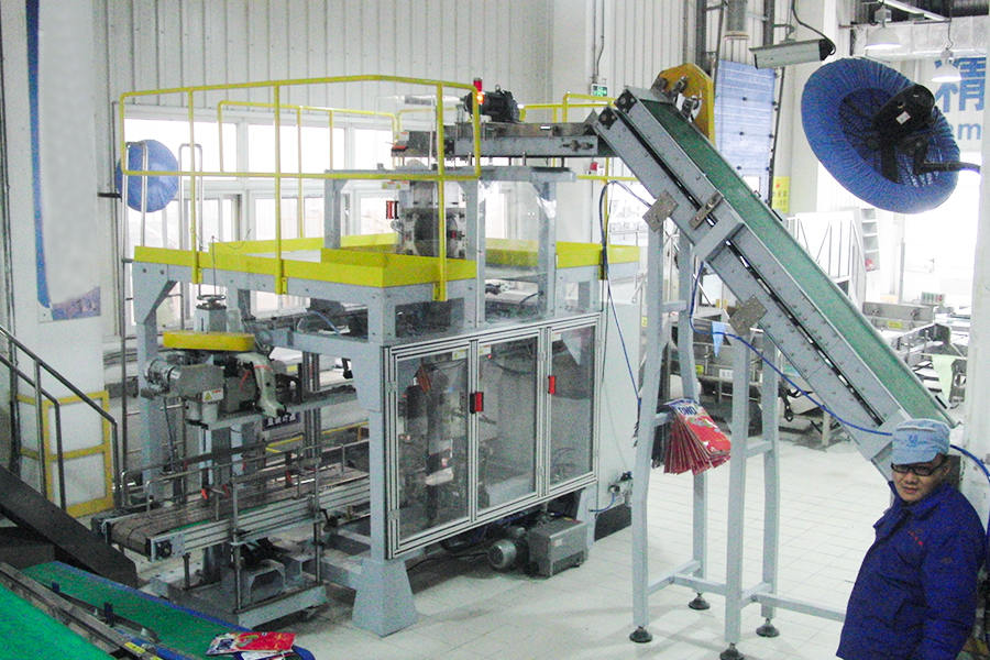 Situs Unilever (Single Warehouse of Secondary Packaging Line)